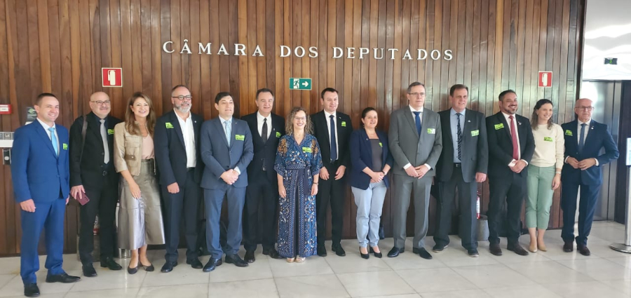 Reitor da UCS participa de ato em Brasília pela regulamentação da Lei das Universidades Comunitárias