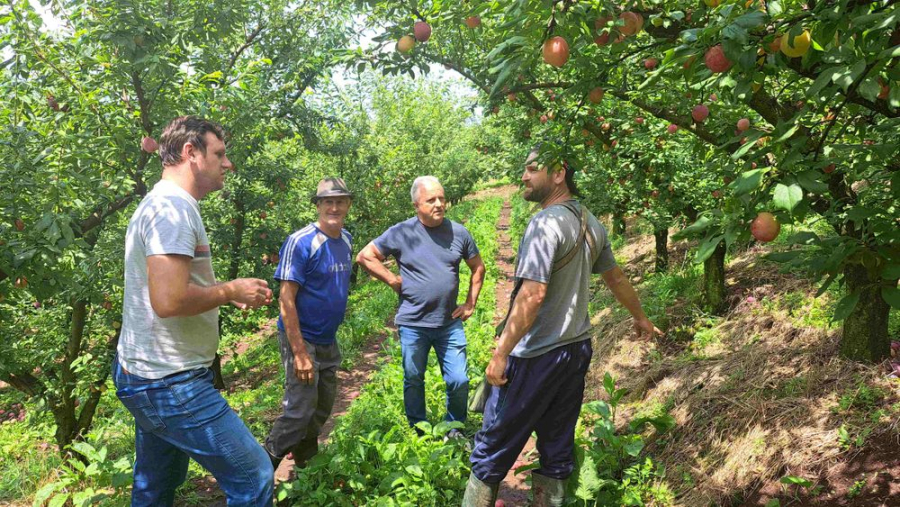 Granizo fora de época é preocupação extra para agricultores