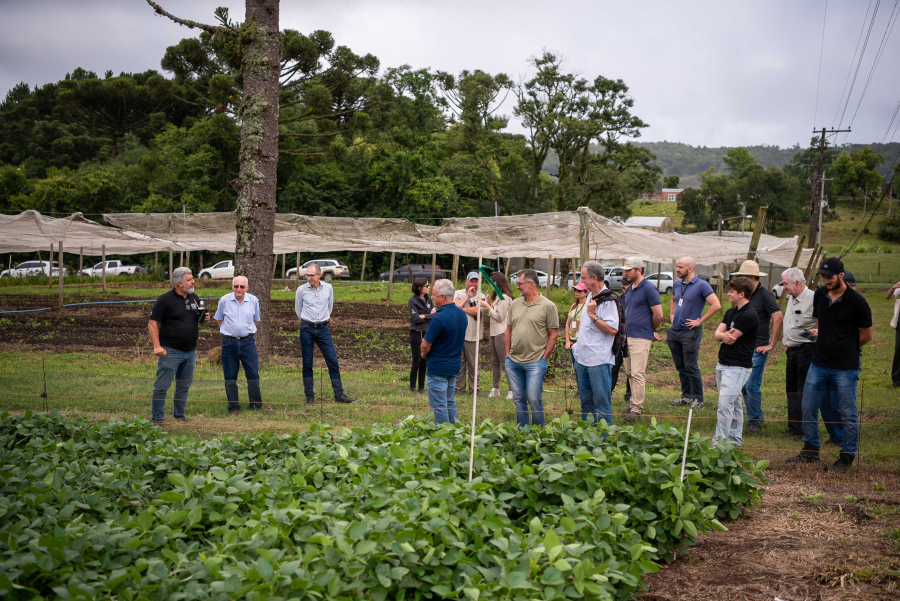 Projeto que analisa soluções para a agricultura orgânica é apresentado a produtores da região