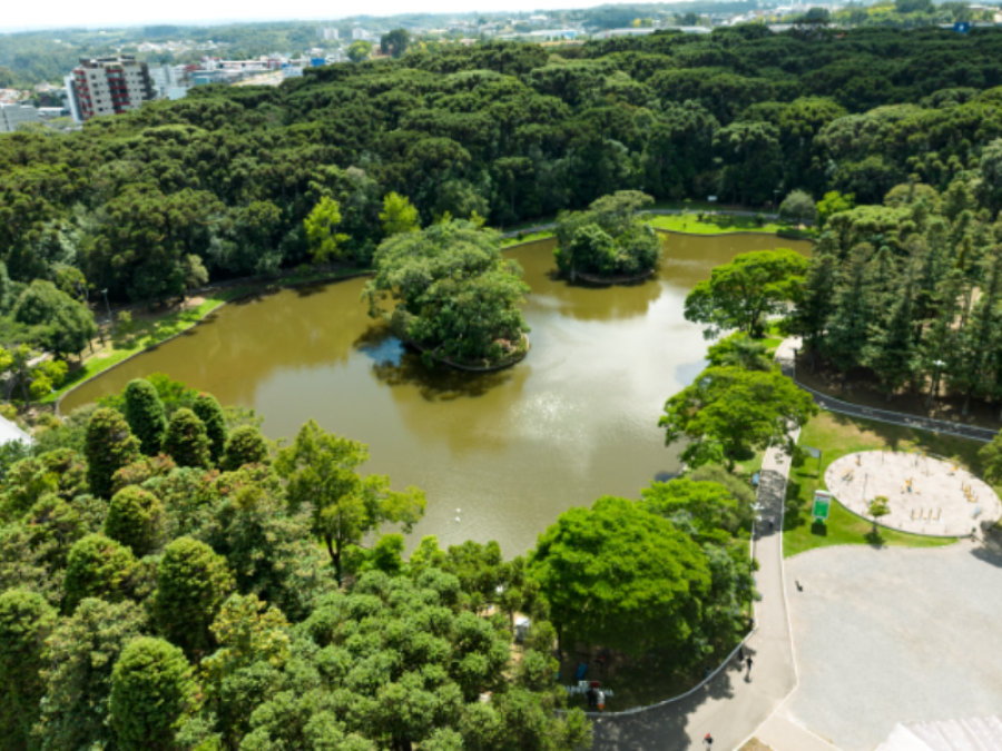 Afapan promove ação ambiental no Parque dos Pinheiros em Farroupilha no próximo sábado